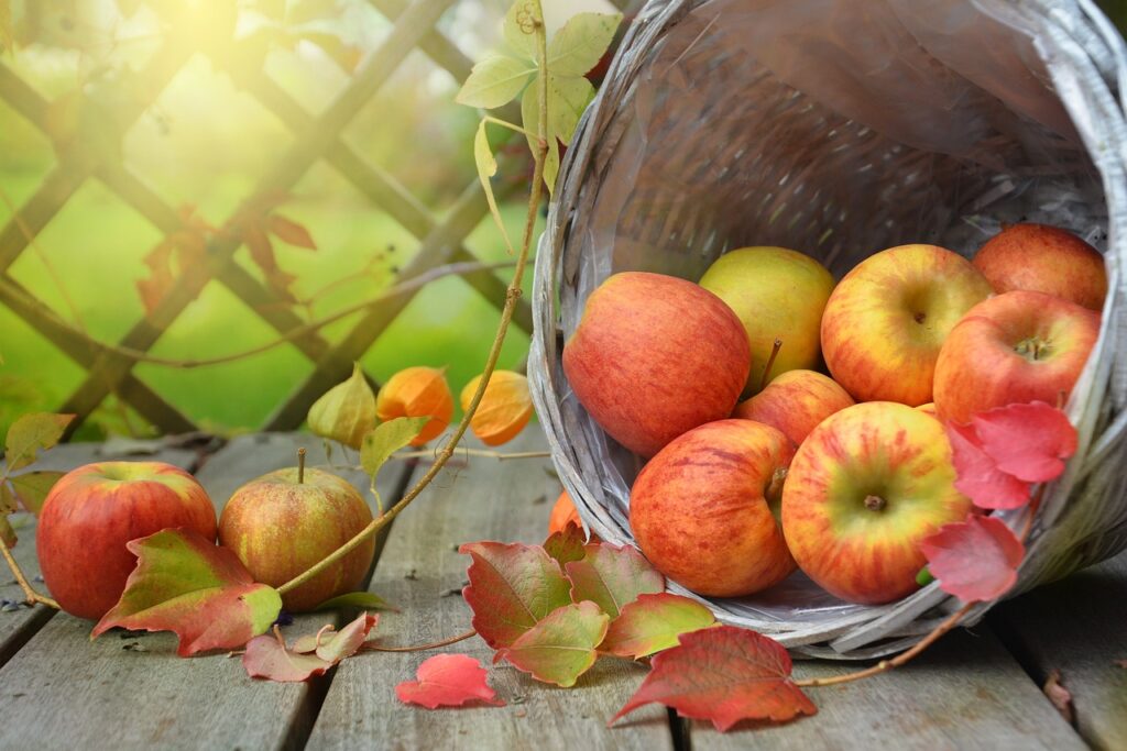 apples, leaves, fall-1776744.jpg